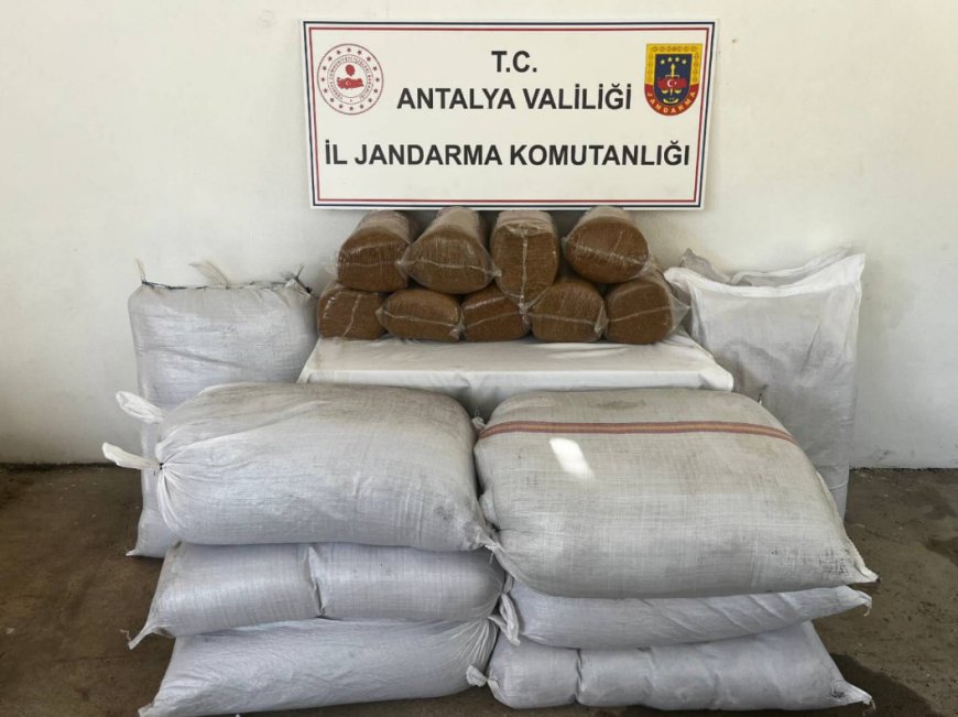 Gazipaşa’da 800 Kilogram Kaçak Tütün Ele Geçirildi