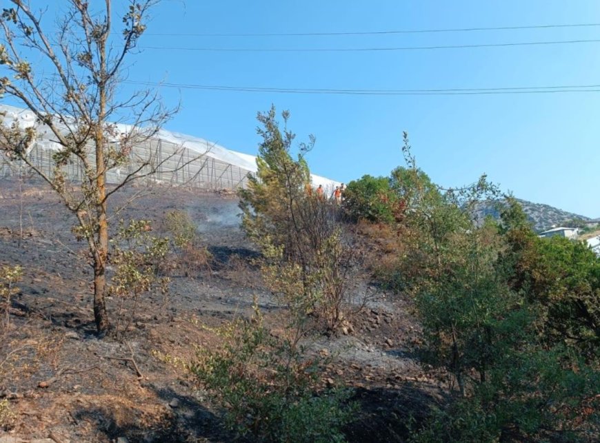 Alanya’da Sabah Saatlerinde Çıkan Yangın Kısa Sürede Söndürüldü