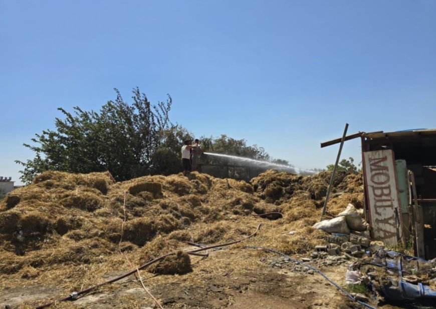 Manavgat’ta Elektrik Hattı Yangına Neden Oldu: 1500 Saman Balya Küle Döndü