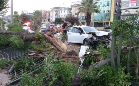 Antalya Gazi Bulvarı’nda Zincirleme Kaza: Ağaç Karşı Şeride Devrildi