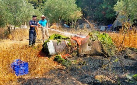 Kumluca’da Çıkan Yangında 1 Dönüm Zeytin Bahçesi Yandı
