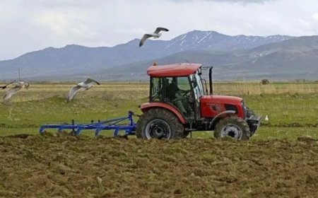 Çiftçiye Devletten Rekor Destek: 6 Ayda 89,7 Milyar TL!