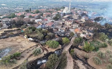 Çanakkale’de Geceyi Alevler Aydınlattı: Yangının Boyutu Sabah Ortaya Çıktı