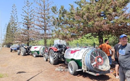 Evrenseki Mahallesi Sakinlerinden Refüjdeki Ağaçlara Can Suyu