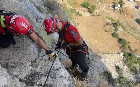 Serik’te Kayalıklarda 5 Gün Mahsur Kalan Keçiyi Jandarma Kurtardı