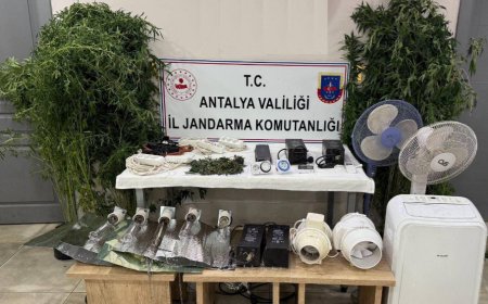 Manavgat'ta Uyuşturucu Operasyonu: Kenevir ve Esrar Ele Geçirildi