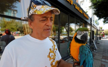 Antalya'da Kaybolan Turgut Özal'ın Papağanı "Cabbar" Bulundu