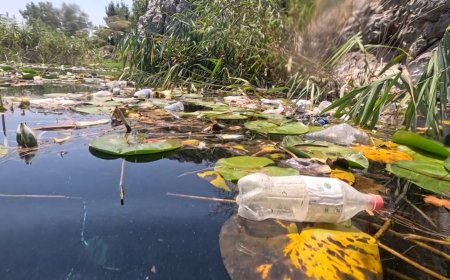 Antalya'nın Can Damarı Kirleniyor: Kırkgöz Göleti'nde Plastiğe Karşı Uyarı