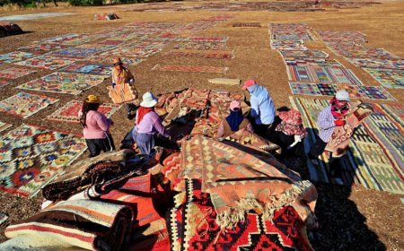 Döşemealtı'nın O Muhteşem Manzarası Toplanıyor: Milyonluk Halı Tarlalarında Hasat Zamanı