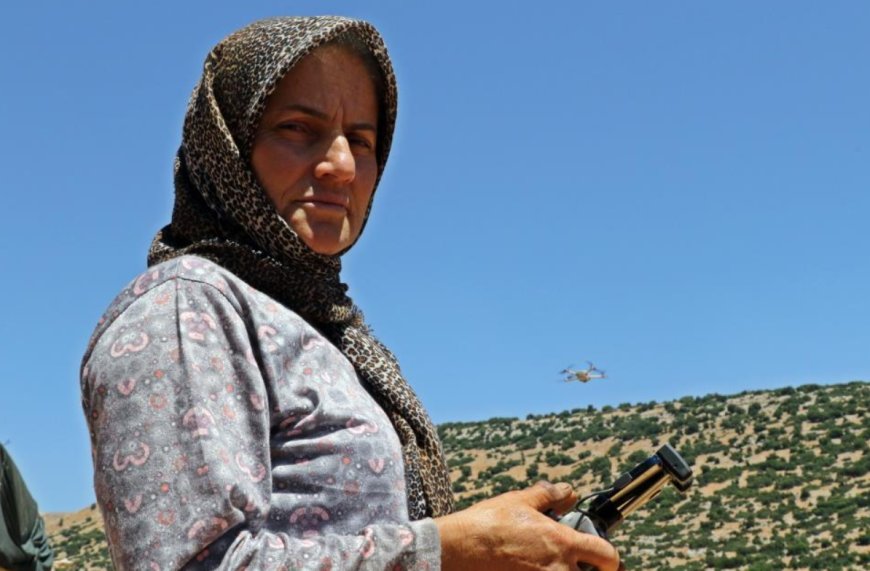 Dronla Kurt Nöbeti: Antalya'da Kadın Çoban Fark Yarattı