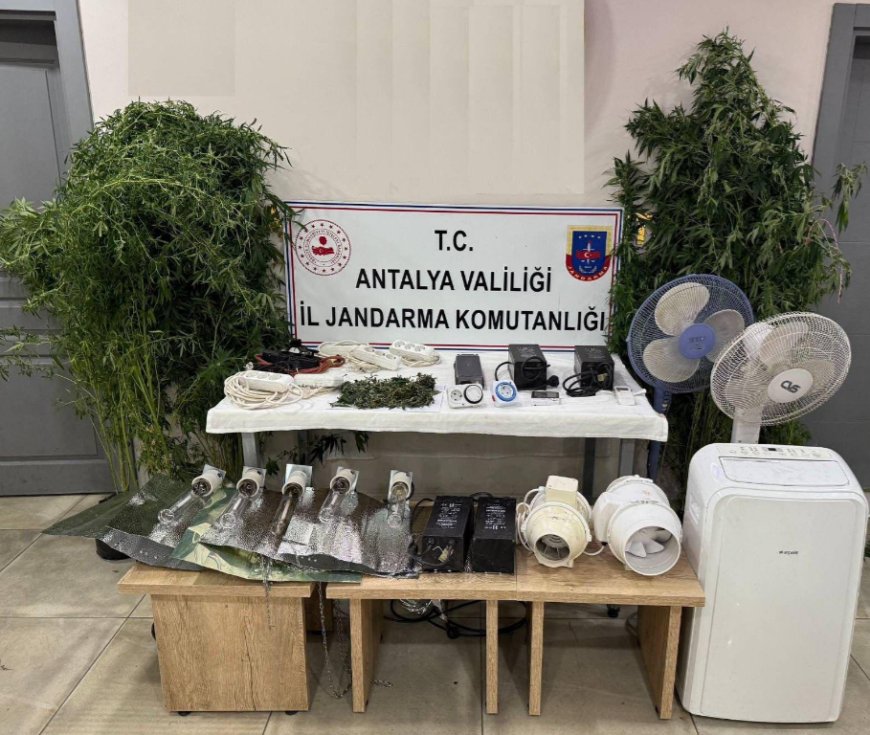 Manavgat'ta Uyuşturucu Operasyonu: Kenevir ve Esrar Ele Geçirildi