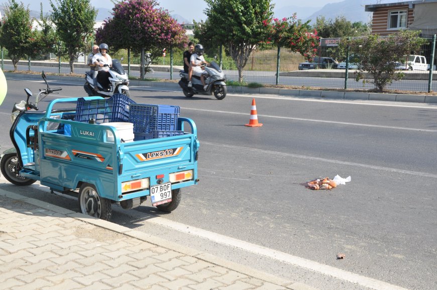 Gazipaşa’da Triportör Devrildi, Sürücü Yola Savruldu!
