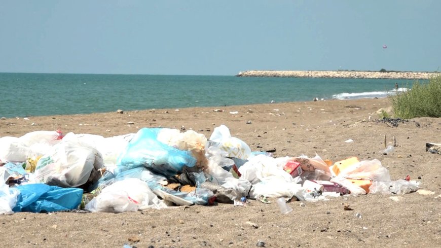 Tüketiciler Birliği'nden Marketlere "Fırsatçılık" Uyarısı: "Plastik Poşet Bulundurun"