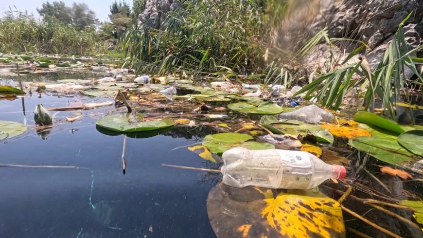 Antalya'nın Can Damarı Kirleniyor: Kırkgöz Göleti'nde Plastiğe Karşı Uyarı