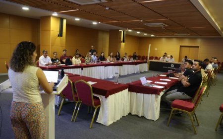 Antalya'da Orman Yangınlarına Karşı Yeni Proje: 'Atıksız Festival' Düzenlenecek