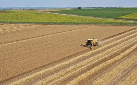 Kırsal Ekonomiye Büyük Destek: İşlenmeyen Araziler Üretime Kazandırılıyor