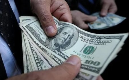 Merkez Bankası Rezervlerinde Yeni Zirve