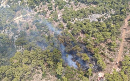 Kemer’deki orman yangını kontrol altına alındı