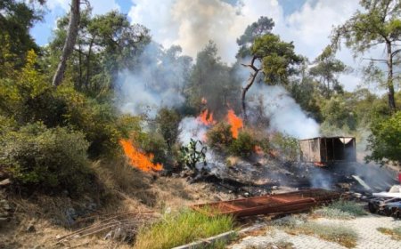 Kemer’de Korkutan Yangın! İkamet ve Ağıl Alanlarına Sıçramadan Söndürüldü