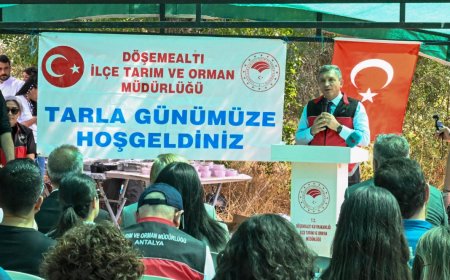 Coğrafi İşaret Yolunda: Döşemealtı Camili Bal Kabağı Hasat Edildi
