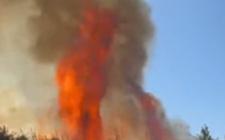 Alanya'da Çalılık Alanda Çıkan Yangın Seralara Sıçradı