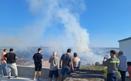 Serik'te Zeytinlik Yangını Kontrol Altında: Villalara Sıçramadan Söndürüldü