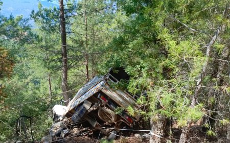 Gazipaşa'da Feci Kaza: Kamyonet Uçurumdan Yuvarlandı, Sürücü Öldü