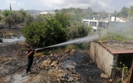 Gazipaşa'da Yangın: 10 Dekar Tarım Arazisi Yandı