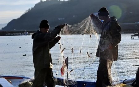 Balıkçılara Müjde! Bakan Uraloğlu Açıkladı: Büyük Destek Geliyor