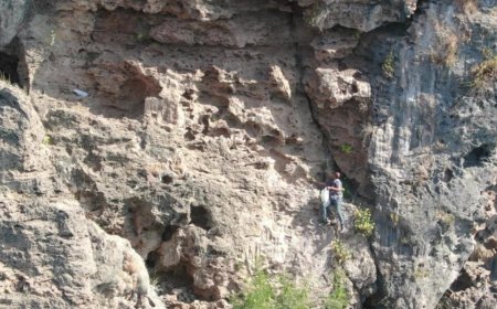 30 Metre Yüksekliğindeki Falezlerde Tehlikeli Meslek: Kaya Koruğu Toplayıcısı