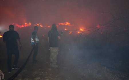 Antalyanın  aksu ilçesinde orman yangını