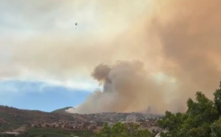 Rüzgarın Etkisiyle Alanya'daki Yangın Kontrolden Çıktı