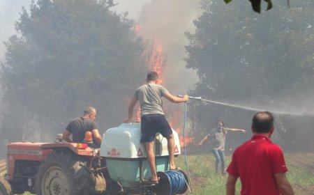 Antalya'da Orman Yangını Yerleşim Yerlerine Sıçradı