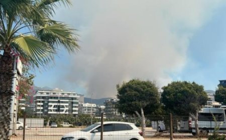 Alanya'da Orman Yangını: Havadan ve Karadan Müdahale Başladı