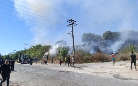 Manavgat'ta Makilik Alan Yangını Villaları Tehdit Etti