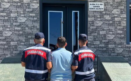 Alanya'daki Orman Yangınıyla İlgili Asılsız Paylaşım Yapan Şahıs Yakalandı