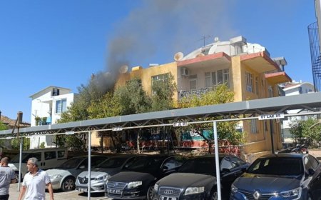 Manavgat'taki Yangında Vatandaşlar Seferber Oldu