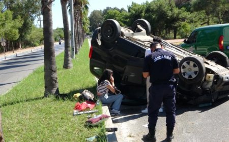 Manavgat'ta Feci Kaza: Palmiyeye Çarpan Hafif Ticari Araç Takla Attı, 2 Yaralı