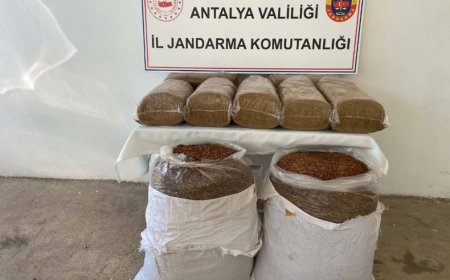 Gazipaşa'da Kaçak Tütün ve Sigara Operasyonu: 250 Kilogram Tütün Ele Geçirildi