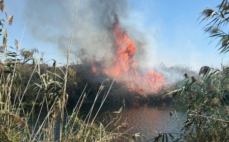 Antalya'da Sazlık Yangınına Halktan Müdahale: Tekne ve Kanolarla Söndürmeye Çalıştılar