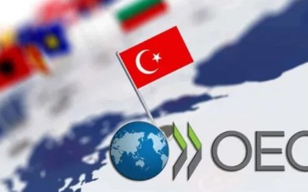 Ekonomide Yüzler Güldü: OECD, 2025 Türkiye Büyüme Tahminini Artırdı