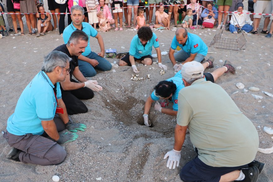 Nesli Tükenmekte Olan Caretta Carettalar İçin Seferberlik: 90. Yuva Açıldı!