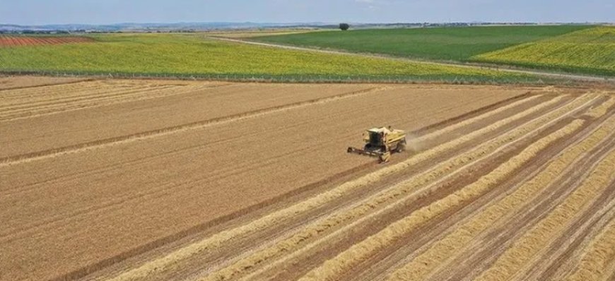 Kırsal Ekonomiye Büyük Destek: İşlenmeyen Araziler Üretime Kazandırılıyor