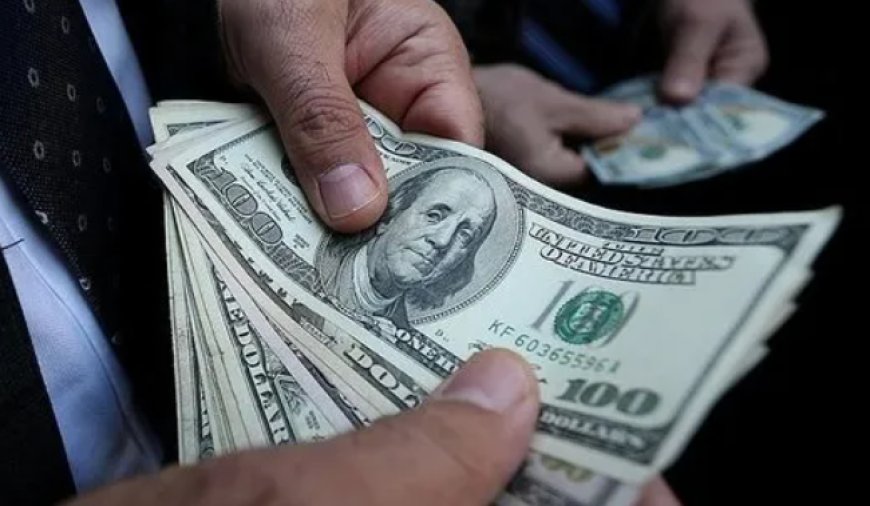 Merkez Bankası Rezervlerinde Yeni Zirve