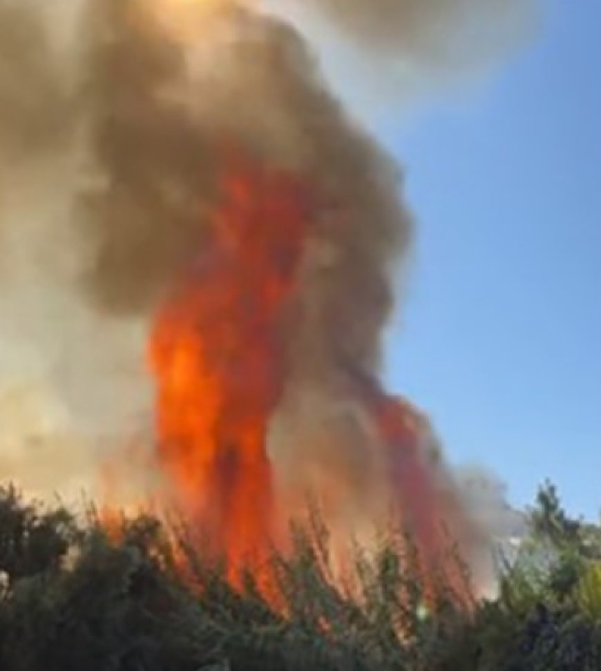 Alanya'da Çalılık Alanda Çıkan Yangın Seralara Sıçradı