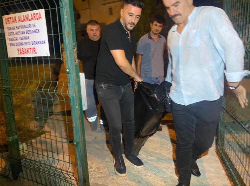 Antalya'da Kadın Cinayeti: Eski Eşini Öldürdü, Kardeşlerini Arayıp "Ben Öldürdüm" Dedi