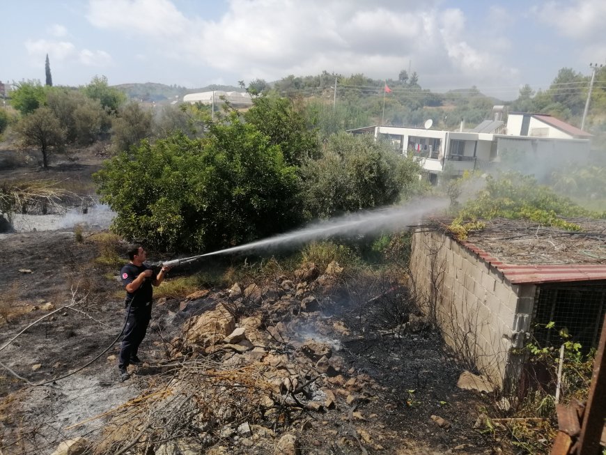 Gazipaşa'da Yangın: 10 Dekar Tarım Arazisi Yandı