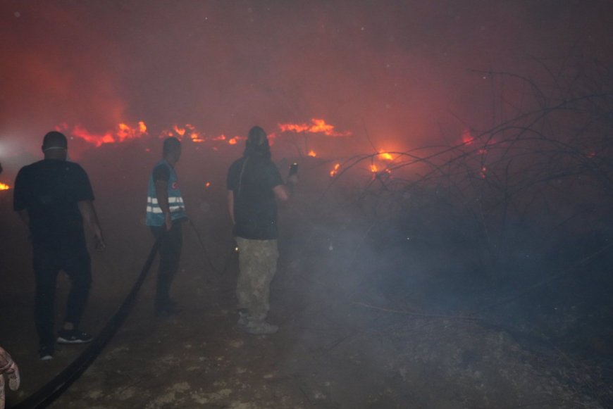 Antalyanın  aksu ilçesinde orman yangını