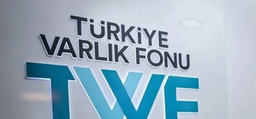 Türkiye Varlık Fonu, En Büyük 10 Varlık Fonu Arasına Girdi
