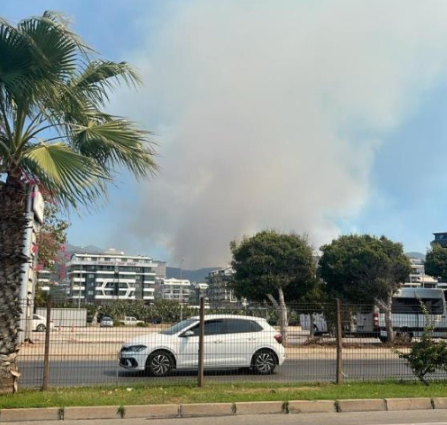 Alanya'da Orman Yangını: Havadan ve Karadan Müdahale Başladı